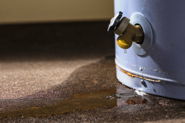 Best Emergency water extraction  in Scottsboro, AL