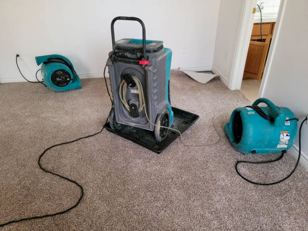 Best Professional water damage repair  in Scottsboro, AL