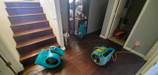 Best Flood damage cleanup  in Scottsboro, AL