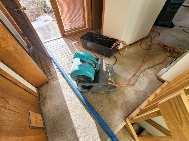 Best Fire Damage Restoration  in Scottsboro, AL