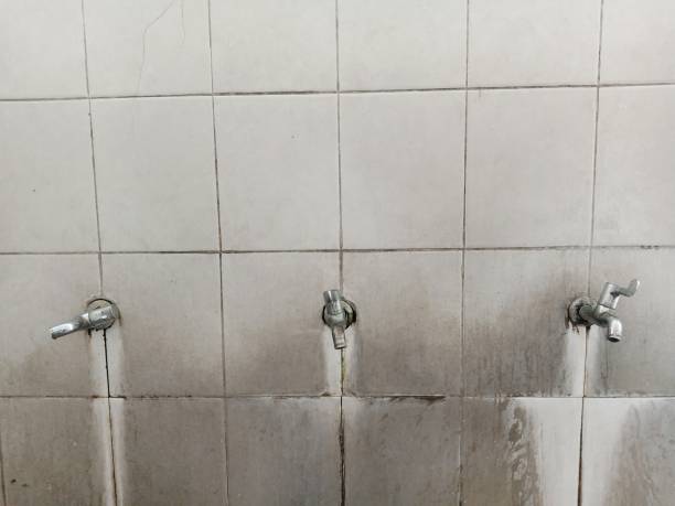 Best 24-hour water damage restoration  in Scottsboro, AL