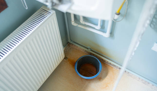 Best Local water damage restoration  in Scottsboro, AL