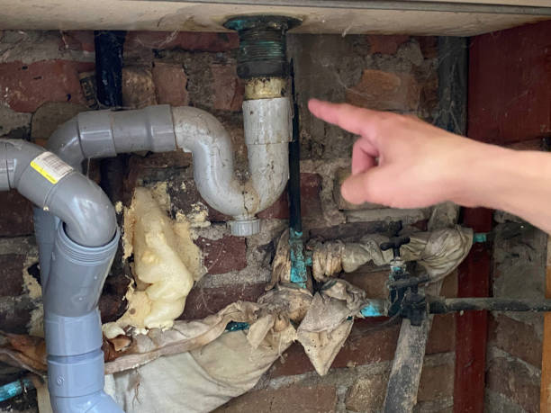 Best Mold removal after water damage  in Scottsboro, AL