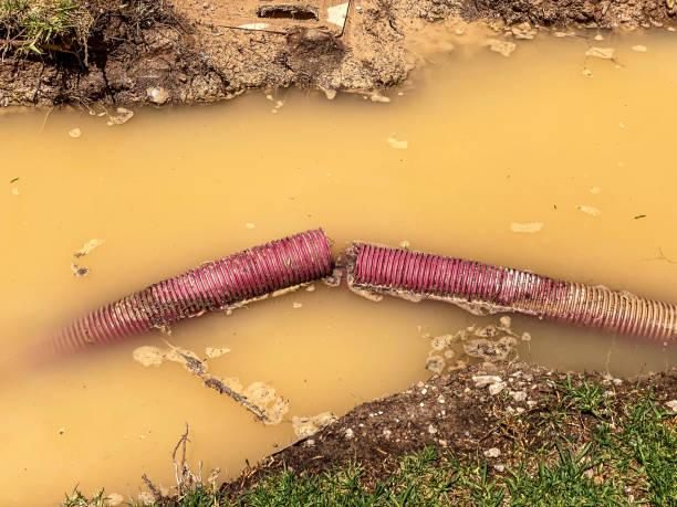 24/7 water damage repair in AL