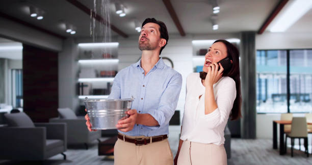 Best Sewage cleanup and water damage restoration  in Scottsboro, AL