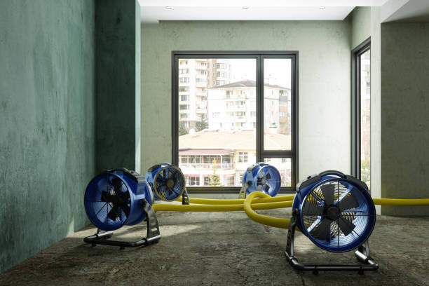Best Water damage repair service  in Scottsboro, AL