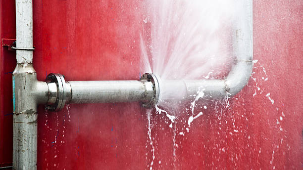 Best Ceiling water damage repair  in Scottsboro, AL