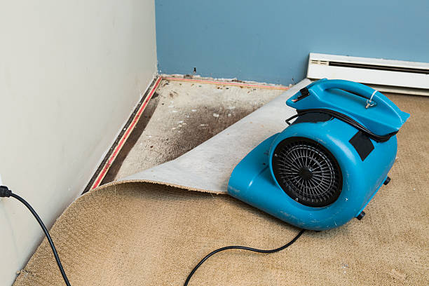 Carpet water damage restoration in AL